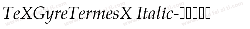 TeXGyreTermesX Italic字体转换